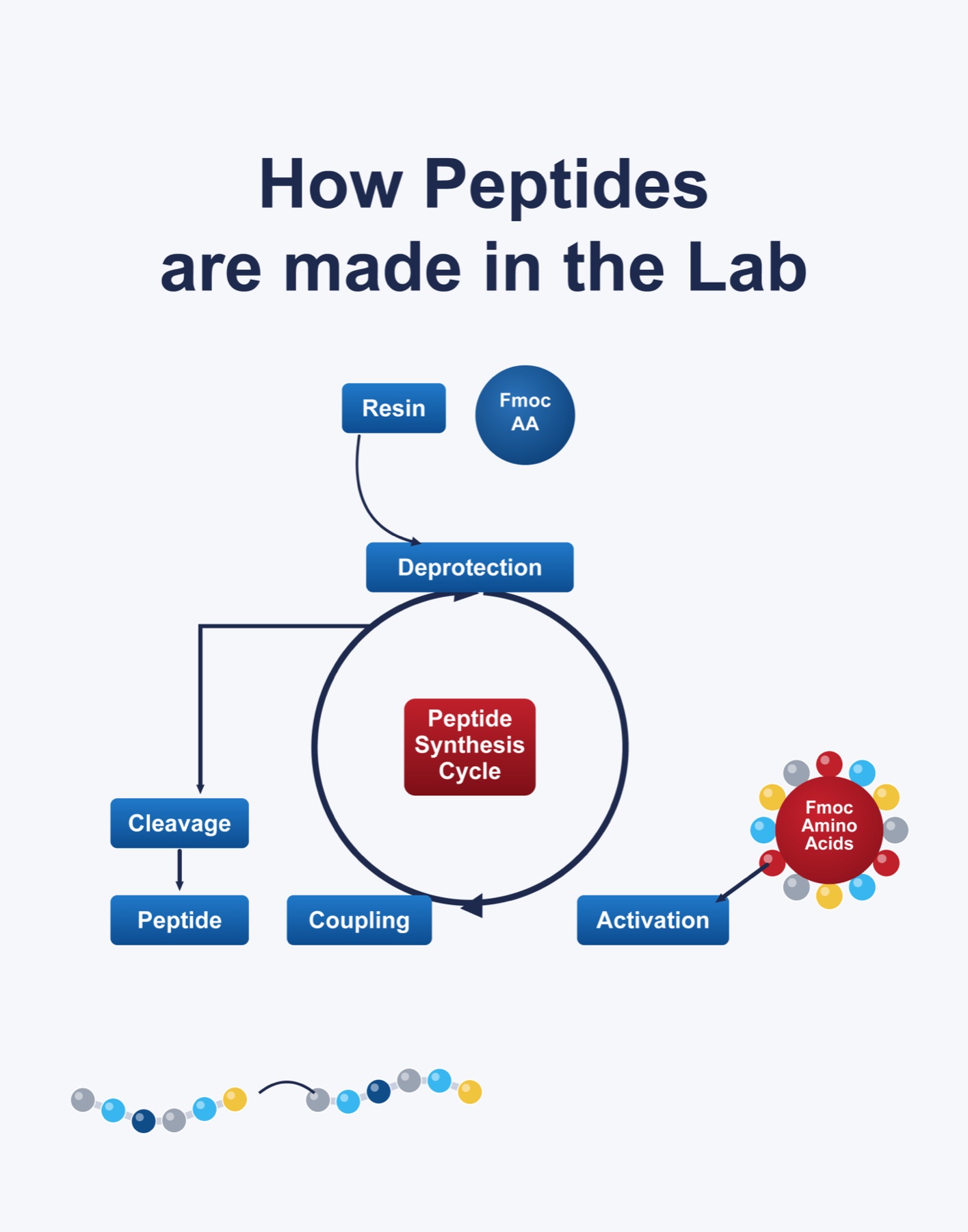 Síntesis de péptidos en fase sólida sobre perlas de resina en un laboratorio